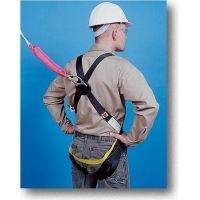 D-Ring Safety Harness and Lanyard Combo